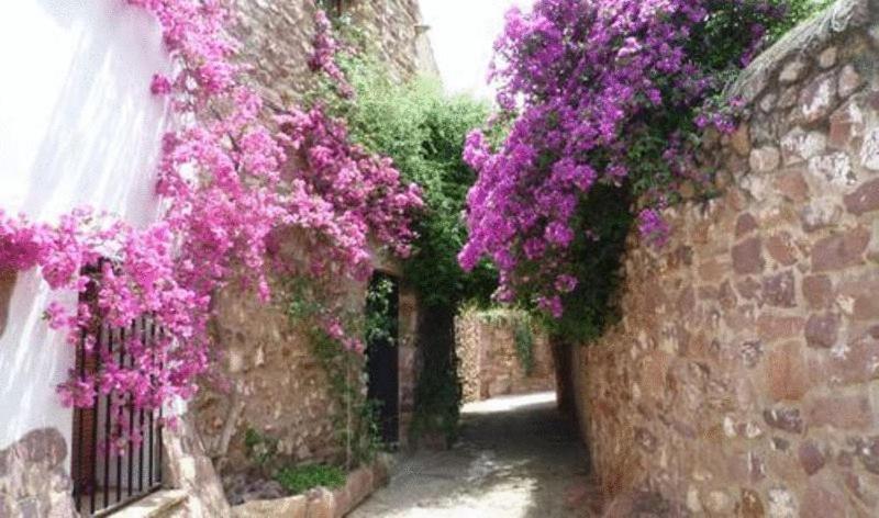 El Jardin Vertical Vilafames Exteriér fotografie
