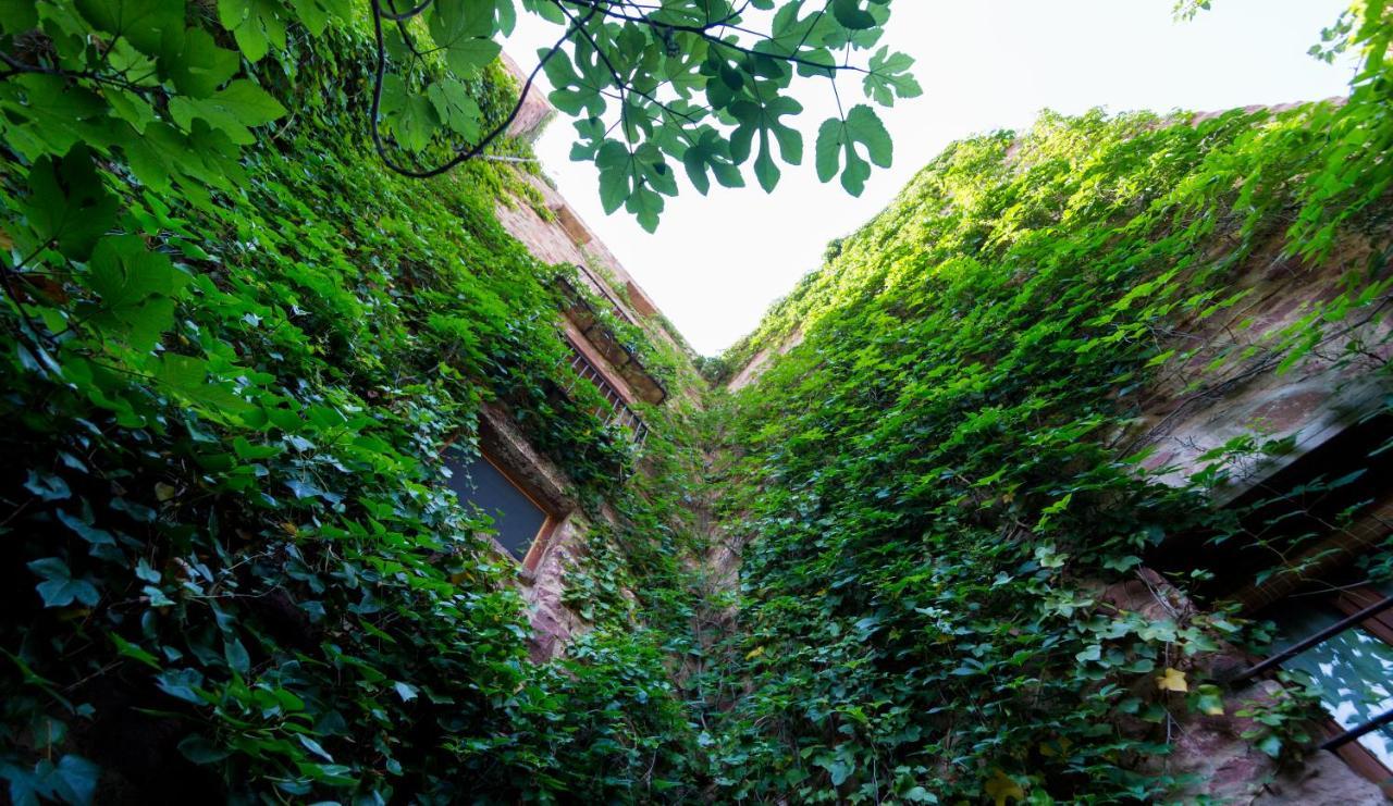 El Jardin Vertical Vilafames Exteriér fotografie