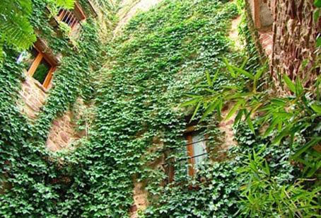 El Jardin Vertical Vilafames Exteriér fotografie